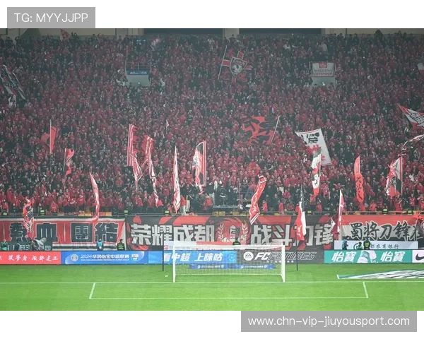 中国足球职业联赛提升球迷观赛体验，中国足球观众