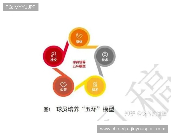 攻守平衡体系逐渐成熟